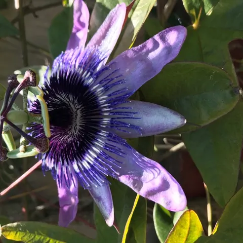 Photo by Andrea Peck