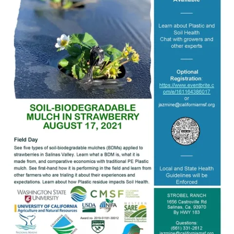 BDM-Demonstration-Flyer