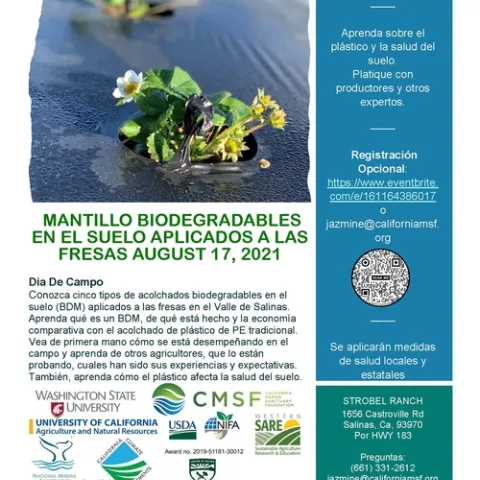 BDM-Demonstration-Flyer Spanish