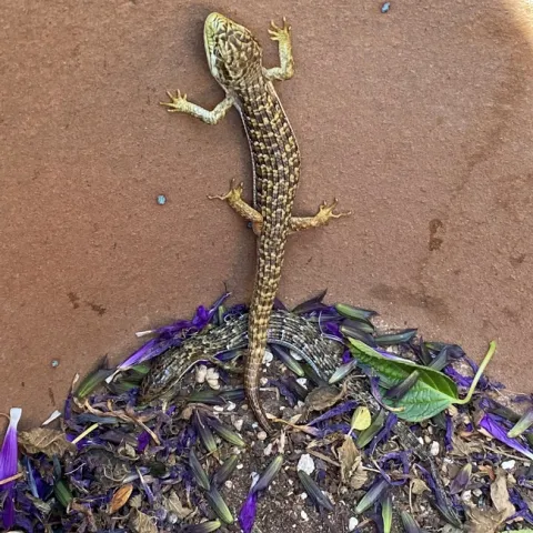 photos by Erin Mahaney