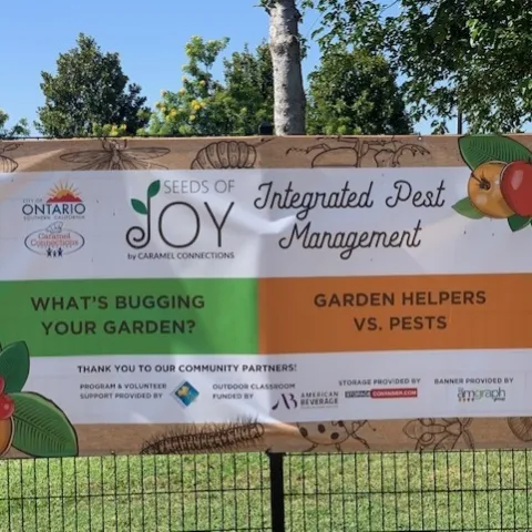 seeds of joy community garden ontario