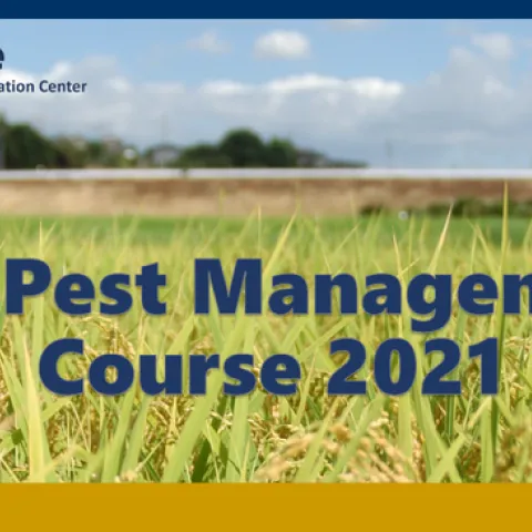 UC Rice Pest Management Course 2021 eventbanner