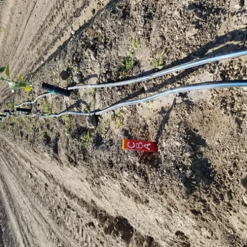 irrigation with double lines