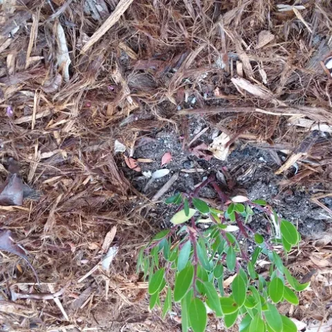 Photo by Polly Nelson