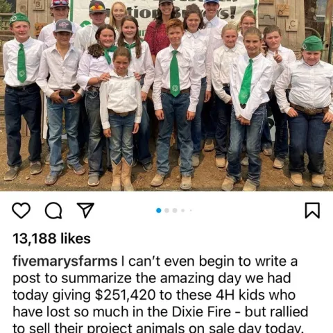 Plumas-Sierra 4-H Livestock Auction