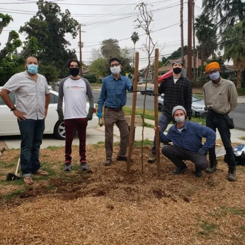 Master Gardeners, community volunteers help plant recommended drought, heat, and pest and disease resistant trees