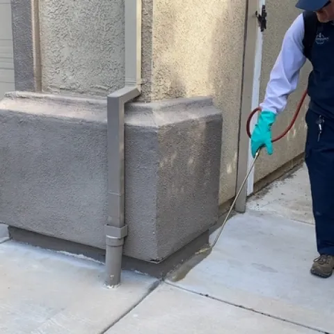 A pesticide application along the perimeter of a house. Photo by Cheryl A. Reynolds, UC IPM.