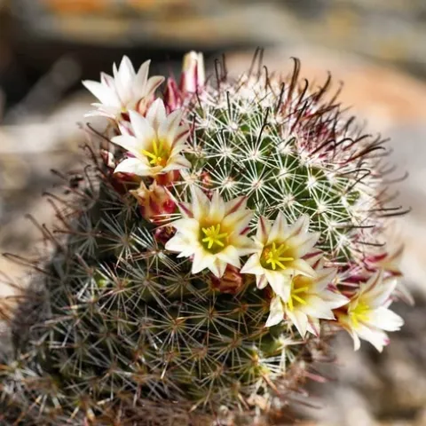 IMG 20210301 141815 258