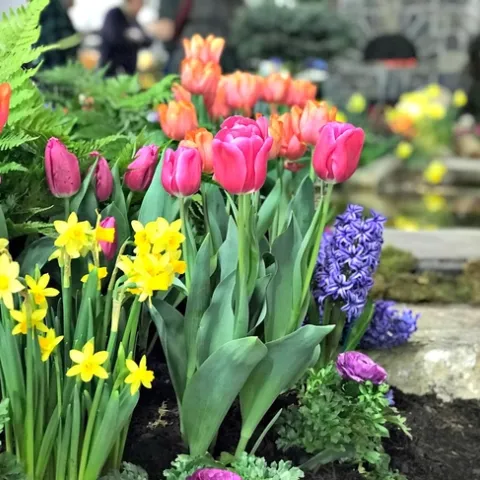 Let's make it spring-blossoming flowers! (turpinlandscapedesign.com)