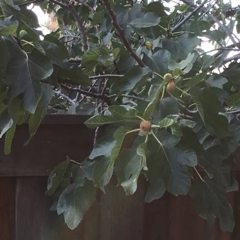 photo by Michelle Davis