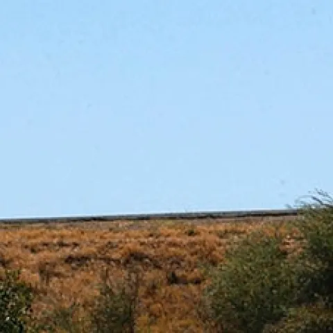 Human hibernation and longevity will be the topic of UC Davis distinguished professor James R. Carey's quest for research papers. (Photo by Kathy Keatley Garvey)