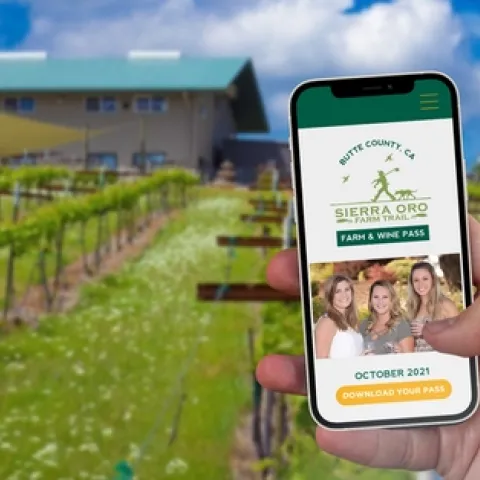 220512025 4544876802197430 5201270013013352840 n