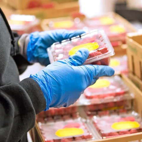 Person picking up container of berries