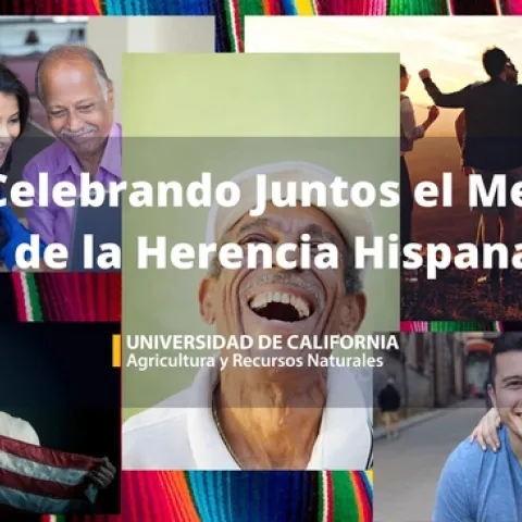 A composite of photos of Hispanic people