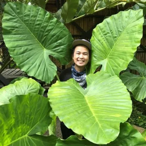 Hung Kim Doan