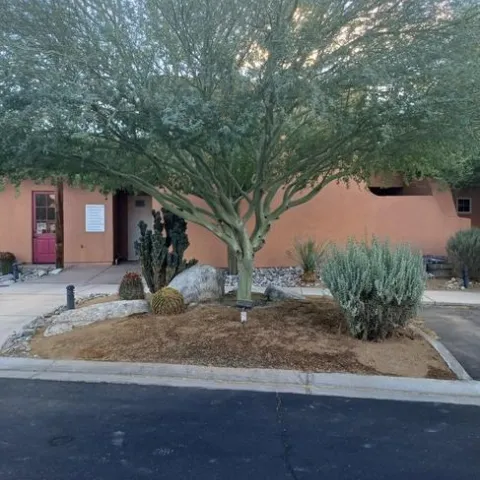 photos by Jenni Dodini