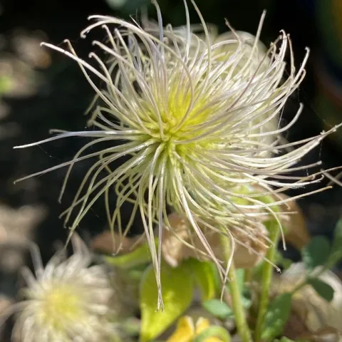 photos by Erin Mahaney