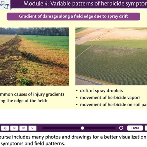 Example screen from the course