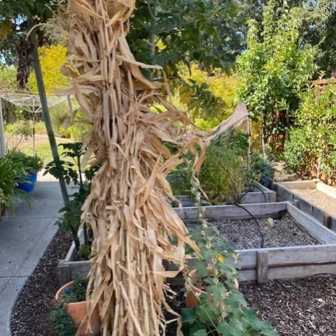 photo by Mike Gunther