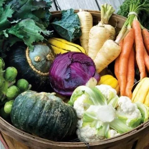 Fall veg (charlestonjfs.com)