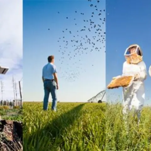 UCANR banner collage 3 pic