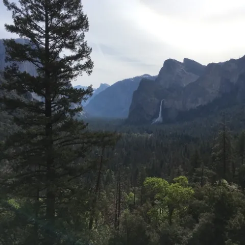 photo by Michelle Davis