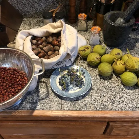 From left, common manzanita berries, black oak acorns, California wild grapes, salt and black walnuts. "These foods represent generations of knowledge, dedication and perseverance. It is so wonderful to think about each one of them, where they came from, the last time I was there and when I'm going back to visit, who taught me about them, what the plants, animals and land have also taught me, and all of our time together," said Peter Nelson. Photo by Peter Nelson