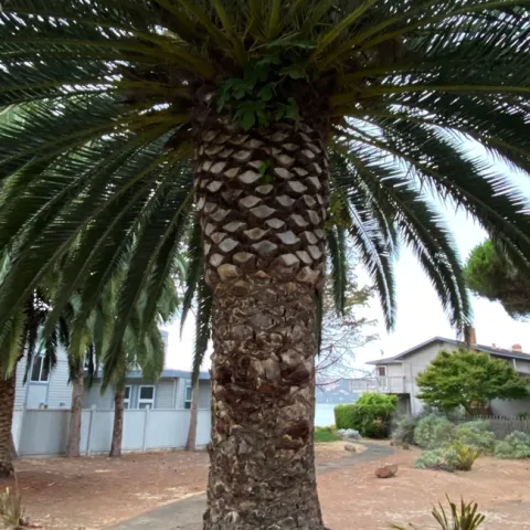 photos by Erin Mahaney