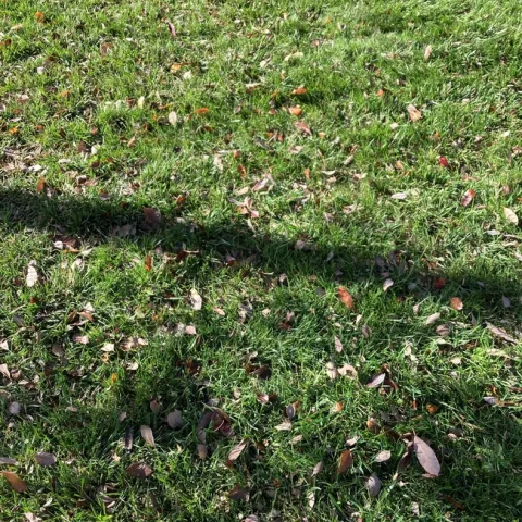 photos by Michelle Davis