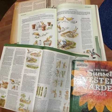 photo by Tina Saravia