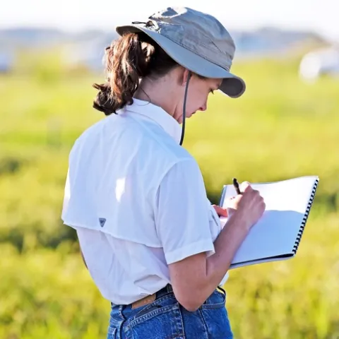 Rice Experiment Station
