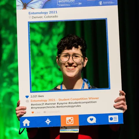 UC Davis doctoral student Danielle Rutkowski, winner of a President's Prize at the ESA meeting, is "framed" at the awards ceremony. (Entomological Society of America/Photography G)