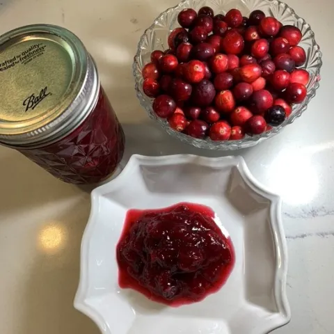 Cranberry chutney on a plate with fresh cranberries in a bowl and a jar of preserved cranberry chutney.