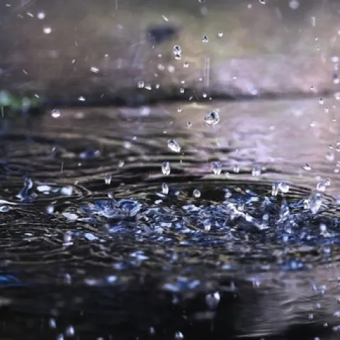 Rain. (carbonbrief.org)