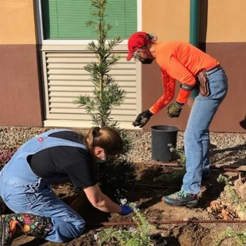 Two Master Gardeners digging to plant a tree.