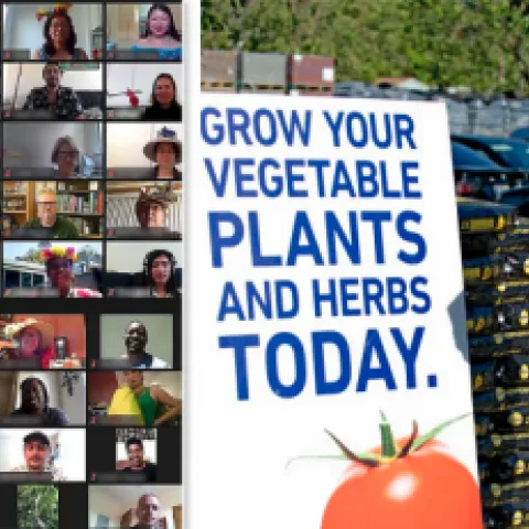 On the left is a Zoom gallery of faces. On the right is a man wearing a face mask holding a flat of seedlings beside a sign that reads, "Grow your vegetables and herb plants today."