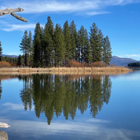Mark spends the long weekend at the lake