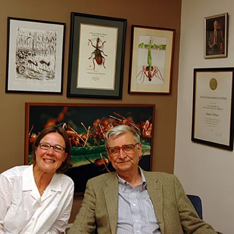 Former UC Davis graduate student Fran Keller, now a professor at Folsom Lake College, met E. O. Wilson in May of 2005. She interviewed him for a presentation at the 2005 Entomological Society of America meeting.