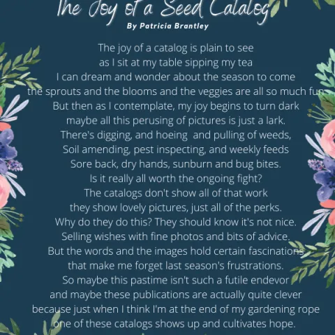 Copy of The Joy of a Seed Catalog (600 x 800 px)