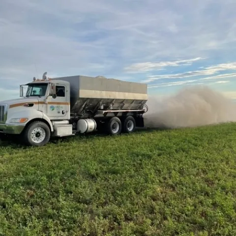 Applications of gypsum in alfalfa may improve soil properties and water infiltration.