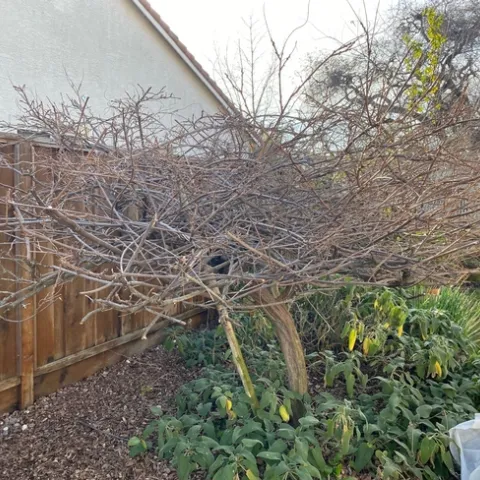 photo by Mike Gunther