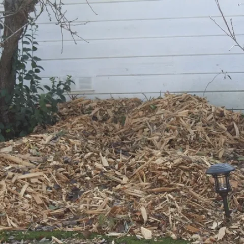 photo by Brenda Altman