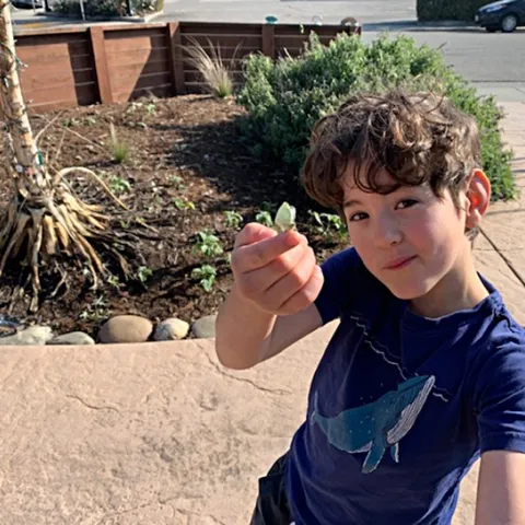 Asher Schneider, 8, of Davis, holds his "runner-up" cabbage white butterfly.