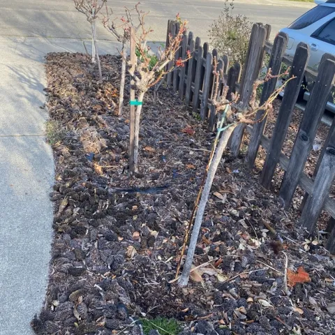 photos by Melissa Sandoval