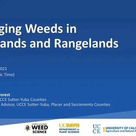 Managing Weeds in Grasslands and Rangelands 2021 event cover