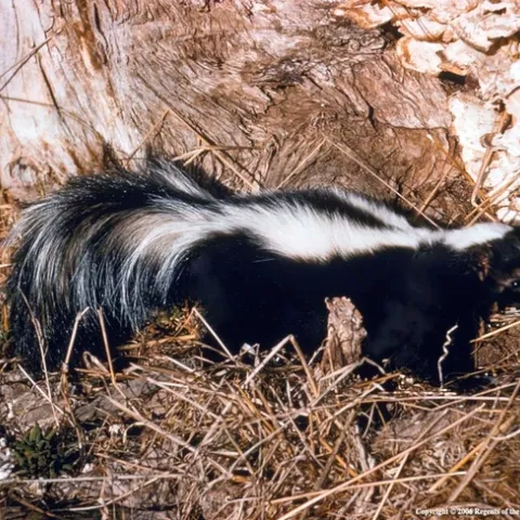 photo by Joseph DiTomaso