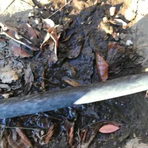 Cracked and leaking hose. photos by Janet Snyder