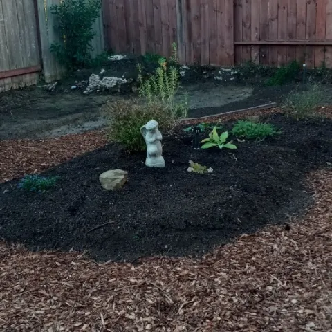 photo by Bernadette Thomas