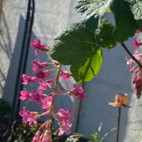 photos by Mike Gunther