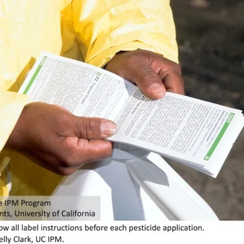 Person reading an open pesticide label booklet.